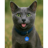 Aluminium paw-shaped pet tag with QR code