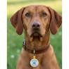 Médaille ronde pour animal en silicone fluorescent avec code QR